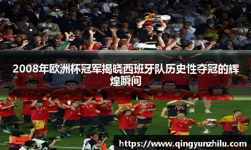 2008年欧洲杯冠军揭晓西班牙队历史性夺冠的辉煌瞬间
